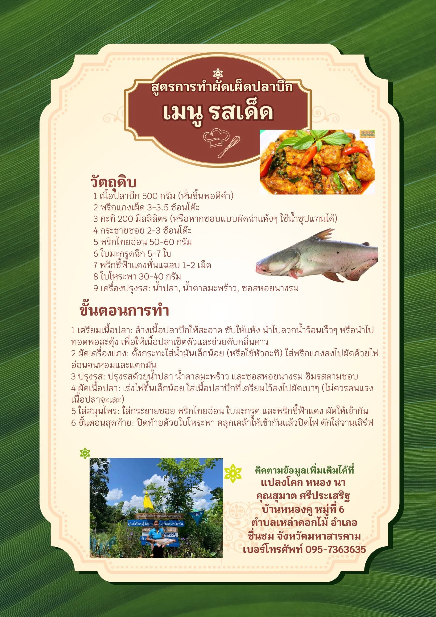 เปิดสูตรความแซ่บ เมนู ผัดเผ็ดปลาบึก